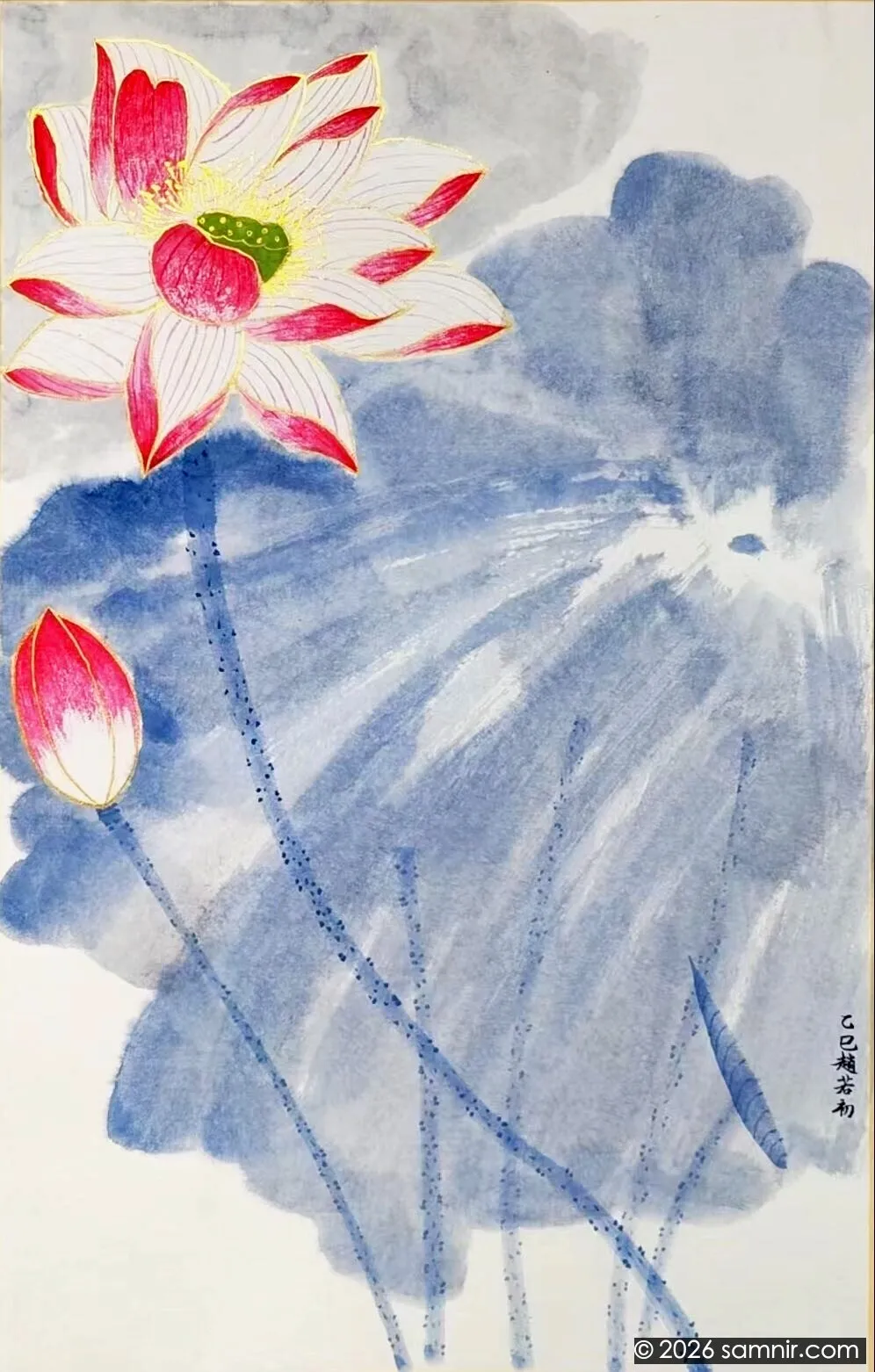 荷花